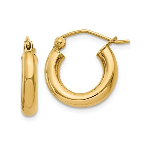 Gold Earrings Tena's Fine Diamonds and Jewelry Elberton, GA