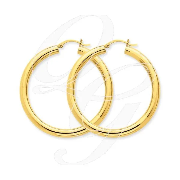 Gold Earrings Tena's Fine Diamonds and Jewelry Elberton, GA