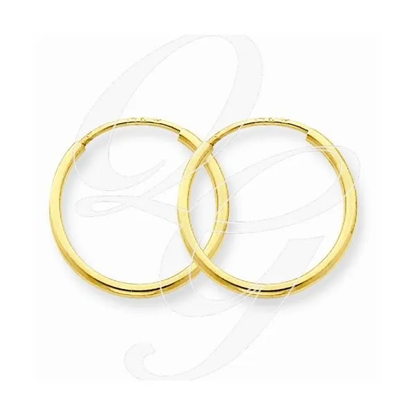 Gold Earrings Tena's Fine Diamonds and Jewelry Elberton, GA