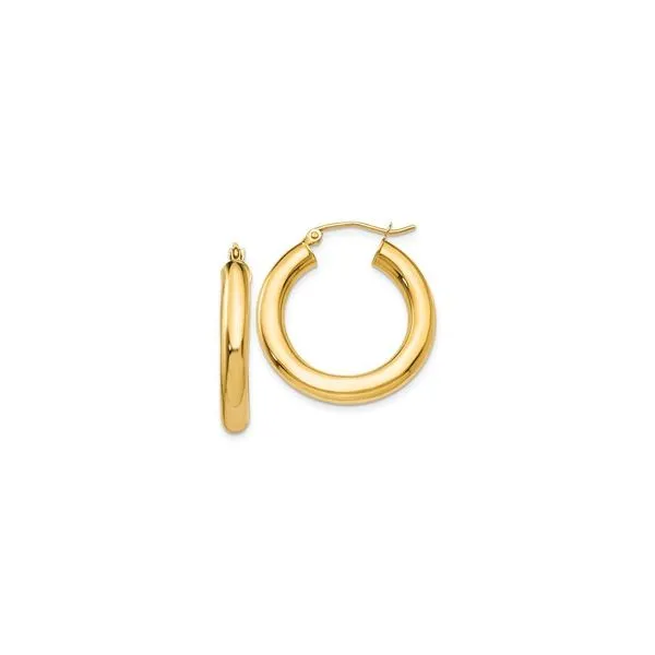Gold Earrings Tena's Fine Diamonds and Jewelry Elberton, GA