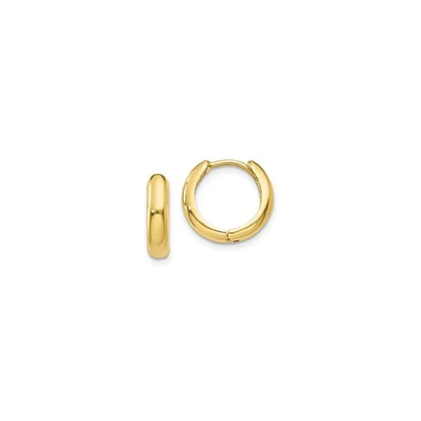 Gold Earrings Tena's Fine Diamonds and Jewelry Elberton, GA