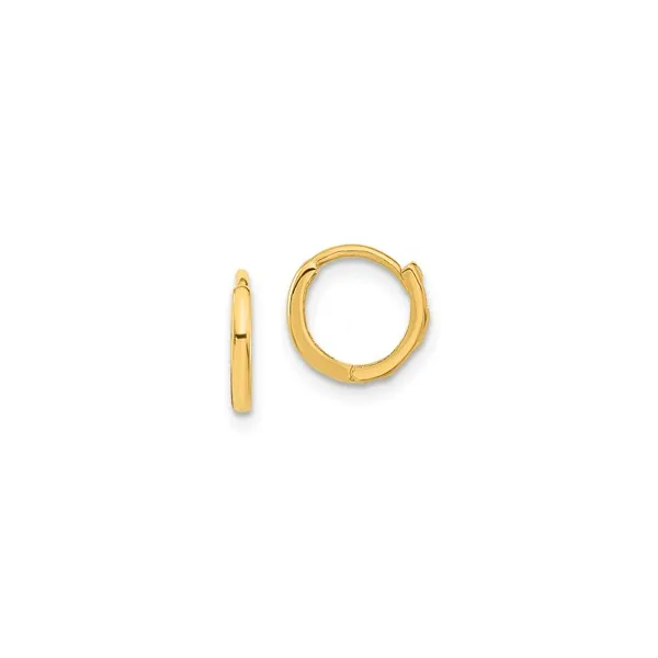 Gold Earrings Tena's Fine Diamonds and Jewelry Elberton, GA