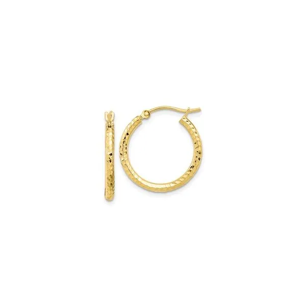 Gold Earrings Tena's Fine Diamonds and Jewelry Elberton, GA