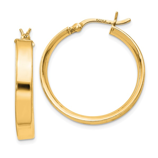 Earrings Tena's Fine Diamonds and Jewelry Elberton, GA