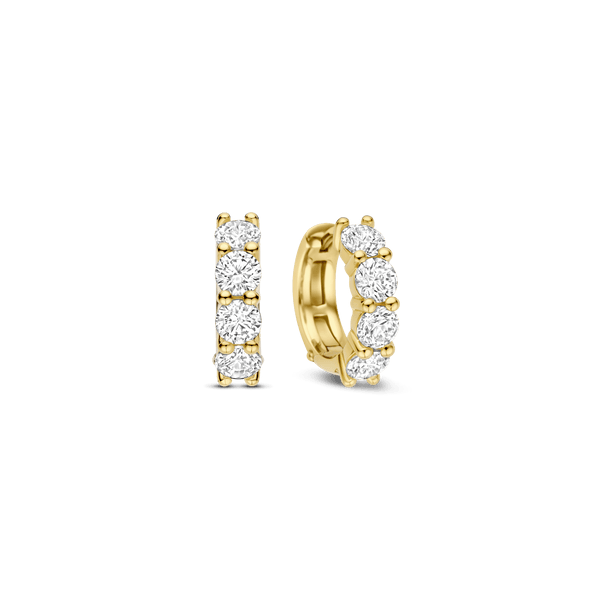 Earrings Tena's Fine Diamonds and Jewelry Elberton, GA