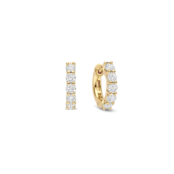 Earrings Tena's Fine Diamonds and Jewelry Elberton, GA