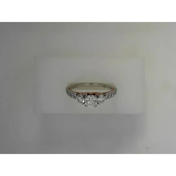 14K White Gold 3 Stone Plus Diamond Engagement Ring Tennies Jewelry Appleton, WI
