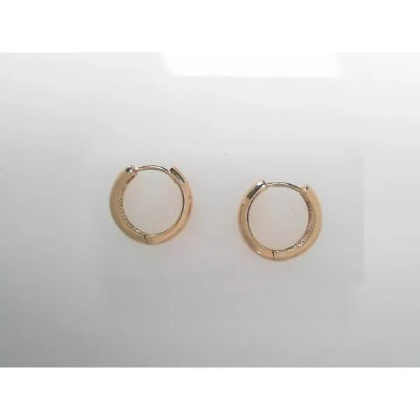 Small Hoop Fashion Earrings in 14K Yellow Gold Tennies Jewelry Appleton, WI