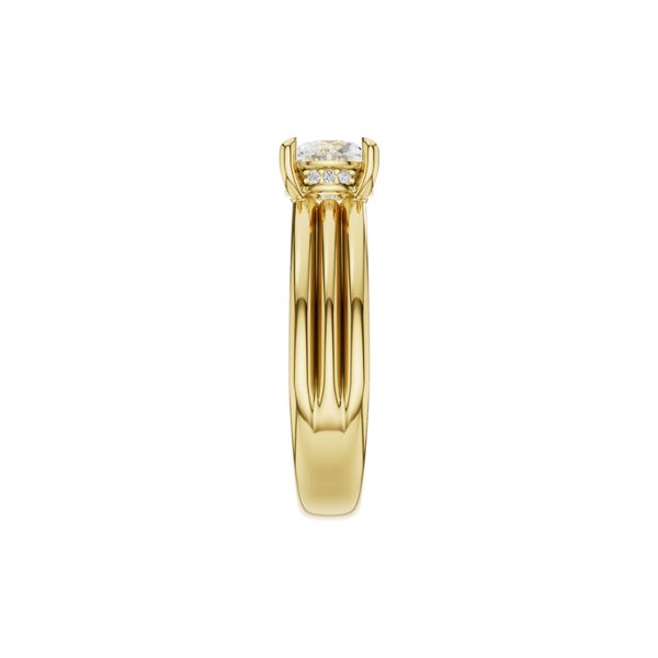 14K Yellow Gold Wide Ring Mounting With 0.04Twt Diamond Hidden Halo Image 2 Texas Gold Connection greenville, TX