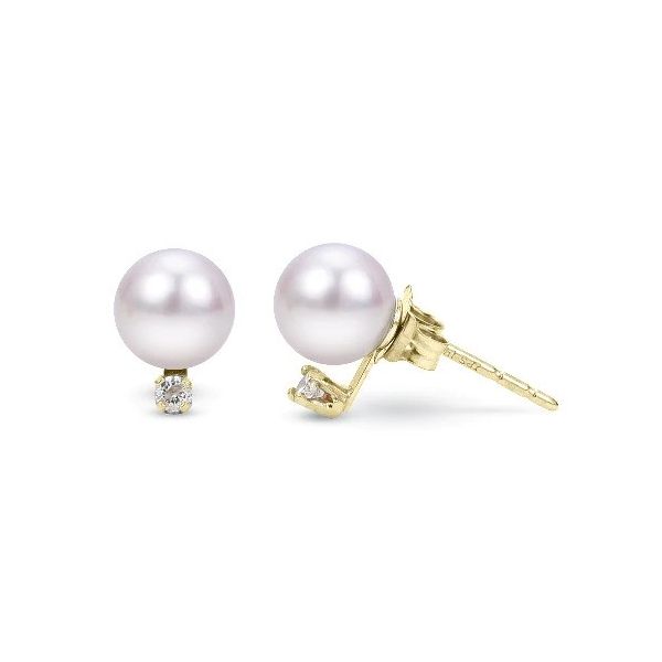 14KT Yellow Gold Akoya Pearl Earring Texas Gold Connection greenville, TX