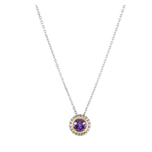 Lady's Amethyst Sterling Silver Birthstone Necklace Texas Gold Connection Greenville, TX