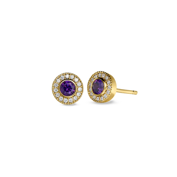 February Birthstone Stud Earrings Texas Gold Connection greenville, TX