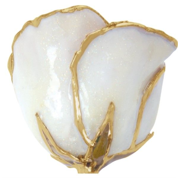 White Lacquer Rose With Gold Trim Image 2 Texas Gold Connection Greenville, TX