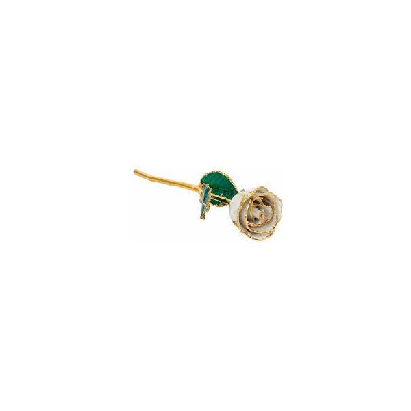 Lacquered Pearl Colored Rose with Gold Trim Texas Gold Connection greenville, TX