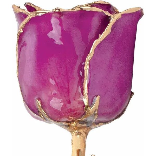 Lacquer February Amethyst Colored Rose with Gold Trim Image 2 Texas Gold Connection greenville, TX