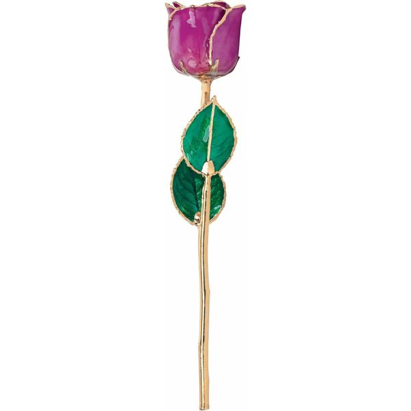 Lacquer February Amethyst Colored Rose with Gold Trim Image 3 Texas Gold Connection greenville, TX