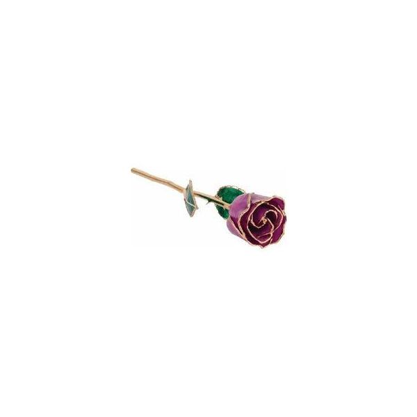 Lacquer February Amethyst Colored Rose with Gold Trim Texas Gold Connection greenville, TX