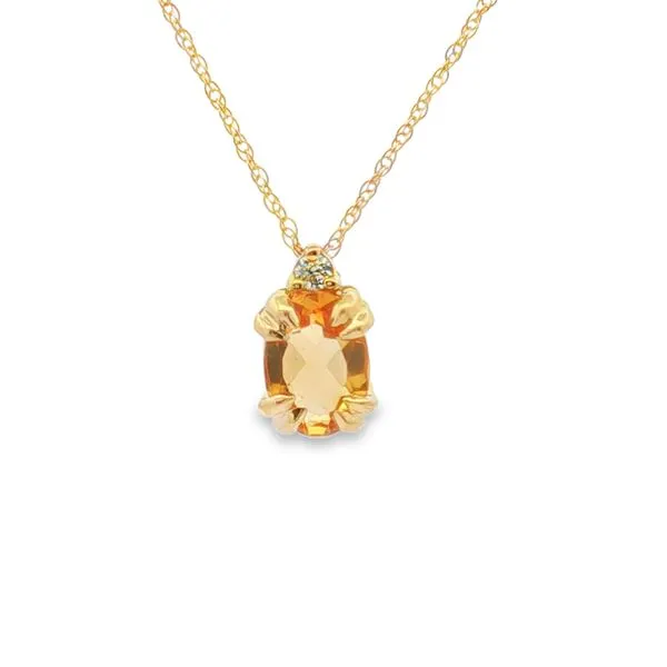 Colored Stone Pendant/Charm The Blue Diamond Jefferson City, MO