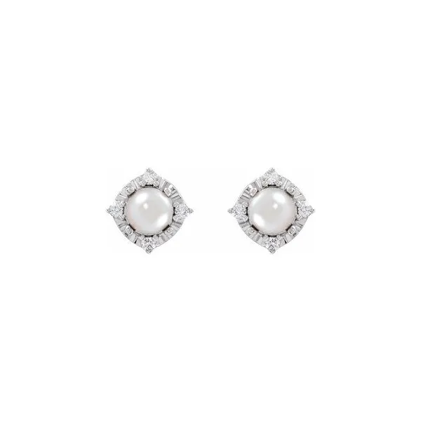 Silver Earring The Blue Diamond Jefferson City, MO