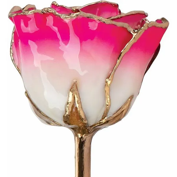 Roses/Vases Image 2 The Blue Diamond Jefferson City, MO