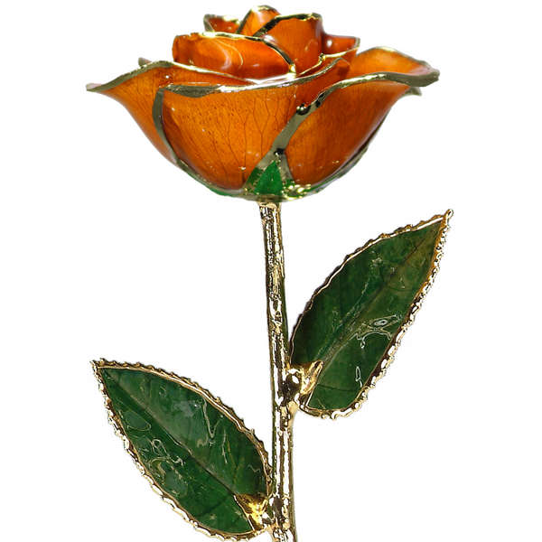 Orange Rose in Gold The Blue Diamond Jefferson City, MO