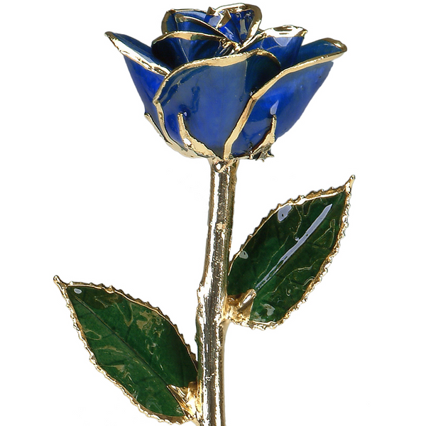 Dark Blue Rose in Gold The Blue Diamond Jefferson City, MO