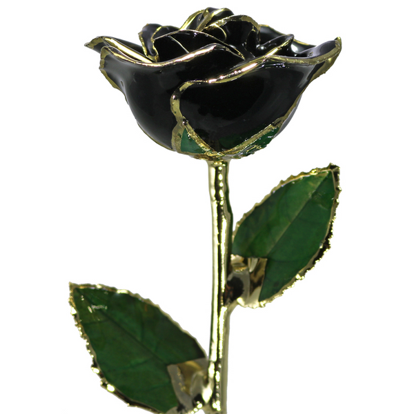 Black Rose in Gold The Blue Diamond Jefferson City, MO