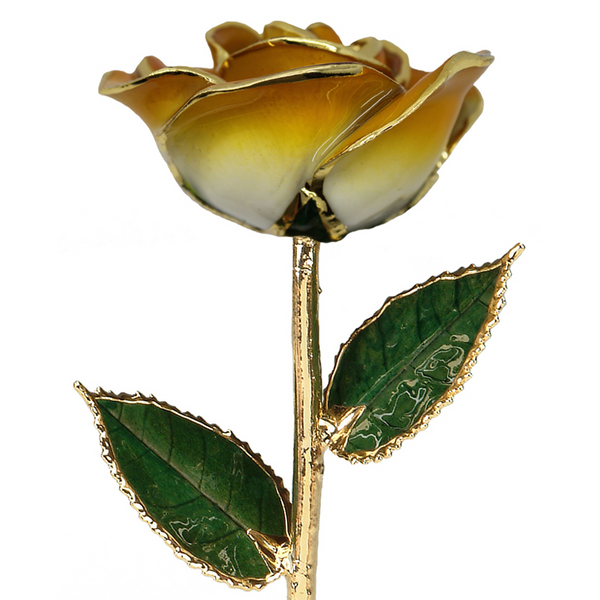 2-Tone Orange Rose in Gold The Blue Diamond Jefferson City, MO