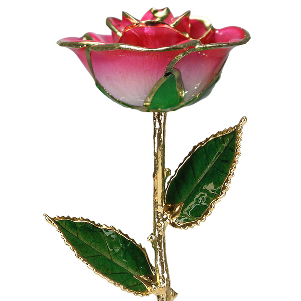 2-Tone Orange Rose in Gold The Blue Diamond Jefferson City, MO