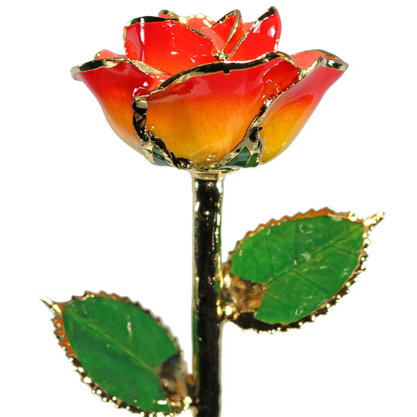 Sunset Rose in Gold The Blue Diamond Jefferson City, MO