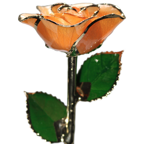 Apricot Rose in Gold The Blue Diamond Jefferson City, MO