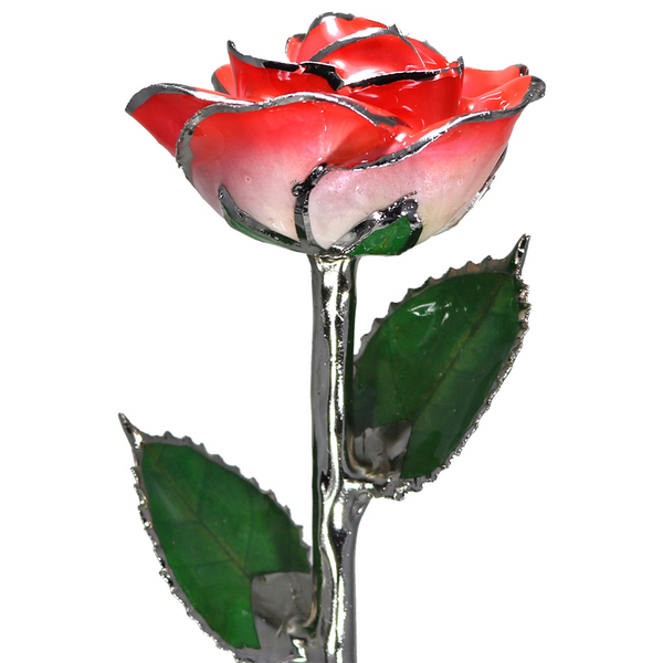 2-Tone Coral Rose in Platinum The Blue Diamond Jefferson City, MO