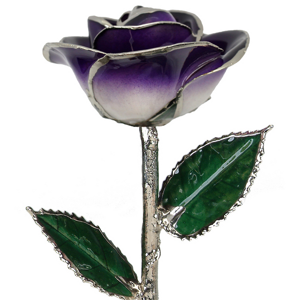 2-Tone Purple Rose in Platinum The Blue Diamond Jefferson City, MO