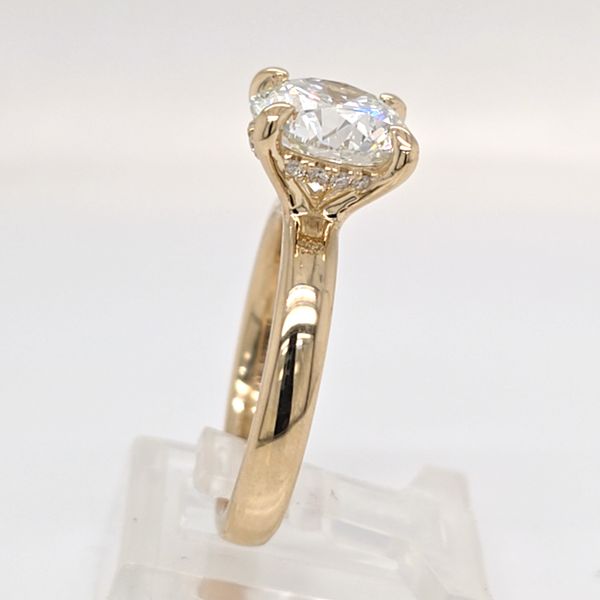 14kt YG 3 carat LG Round Solitaire Diamond Engagement Ring Image 2 Carroll's Jewelers Doylestown, PA