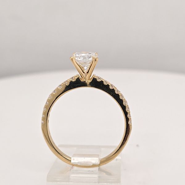 14kt LG 1ct TW Diamond Engagement Ring Image 2 Carroll's Jewelers Doylestown, PA