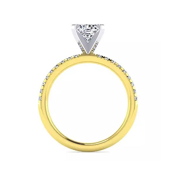 14kt YG Single Row engagement Ring Image 2 Carroll's Jewelers Doylestown, PA