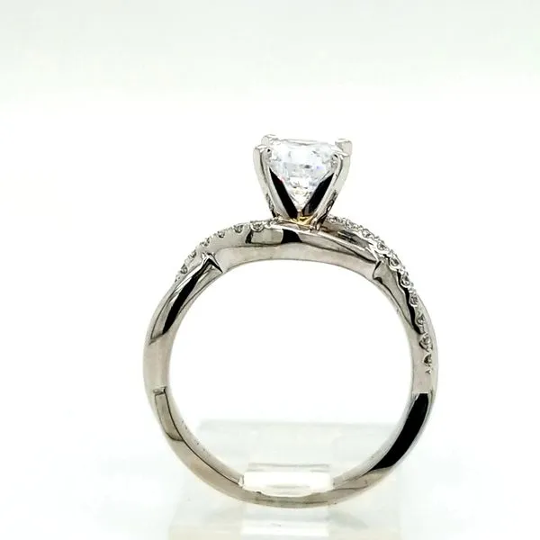 14kt WG Twisted Ribbon Shank Engagement Ring Mounting Image 3 Carroll's Jewelers Doylestown, PA