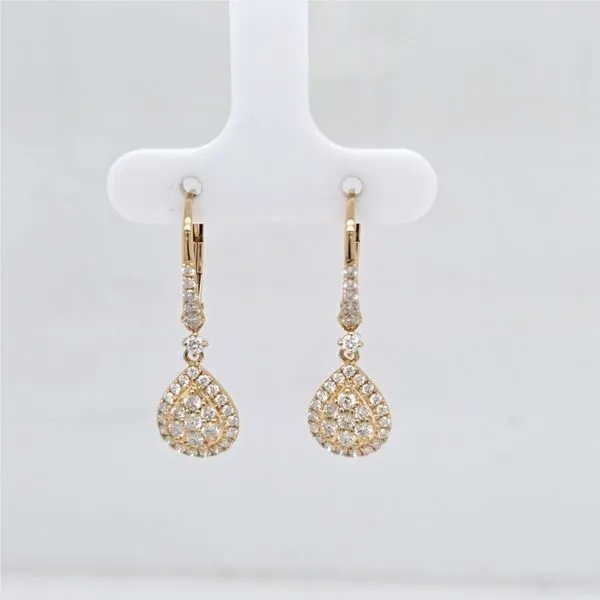 14kt YG Diamond Drop Earrings thumb image 1