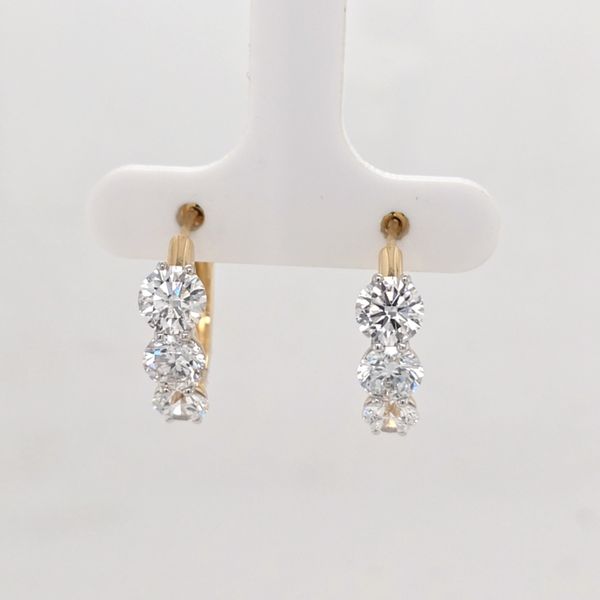 14kt LG Diamond 3 stone Earrings Carroll's Jewelers Doylestown, PA