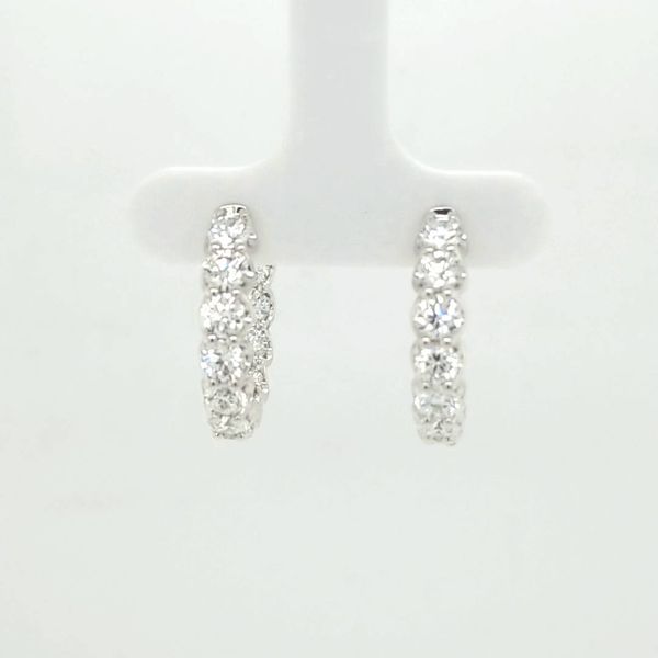 14kt WG 3.52ct TW Lab Grown Diamond Hoops Carroll's Jewelers Doylestown, PA