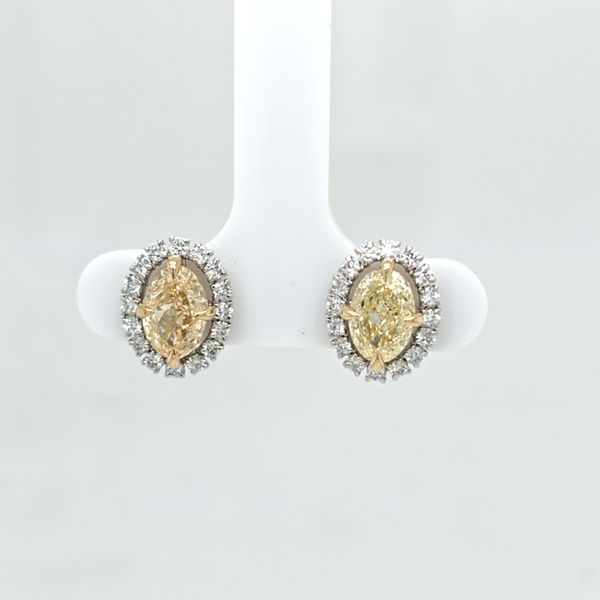 Two Tone Yellow Diamond Halo Stud Earrings Carroll's Jewelers Doylestown, PA