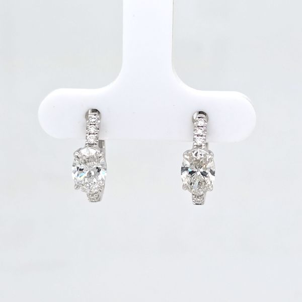 Diamond Huggie Hoop Earrings Carroll's Jewelers Doylestown, PA
