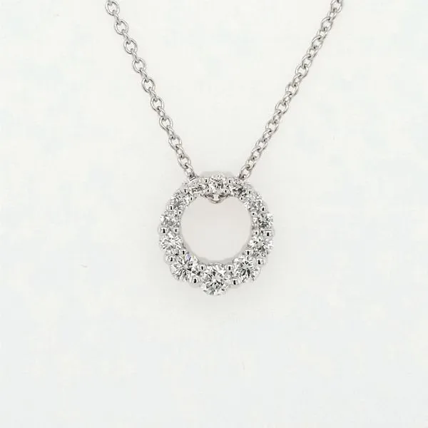 14kt WG .25ct TW Lab Grown Diamond Circle Pendant Carroll's Jewelers Doylestown, PA