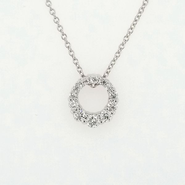 14kt WG .25ct TW Lab Grown Diamond Circle Pendant Carroll's Jewelers Doylestown, PA