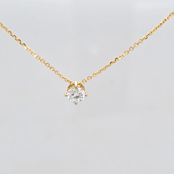 001-160-01493 Carroll's Jewelers Doylestown, PA