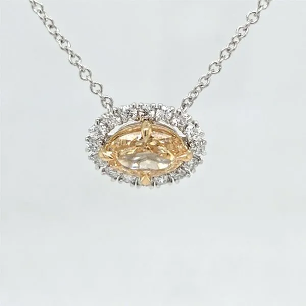 14kt YG Yellow Diamond Halo Necklace Carroll's Jewelers Doylestown, PA