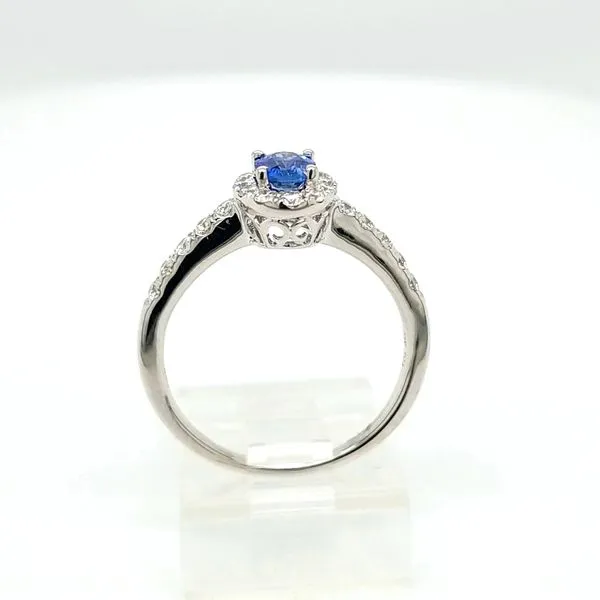 14kt WG Sapphire and Diamond Ring Image 3 Carroll's Jewelers Doylestown, PA