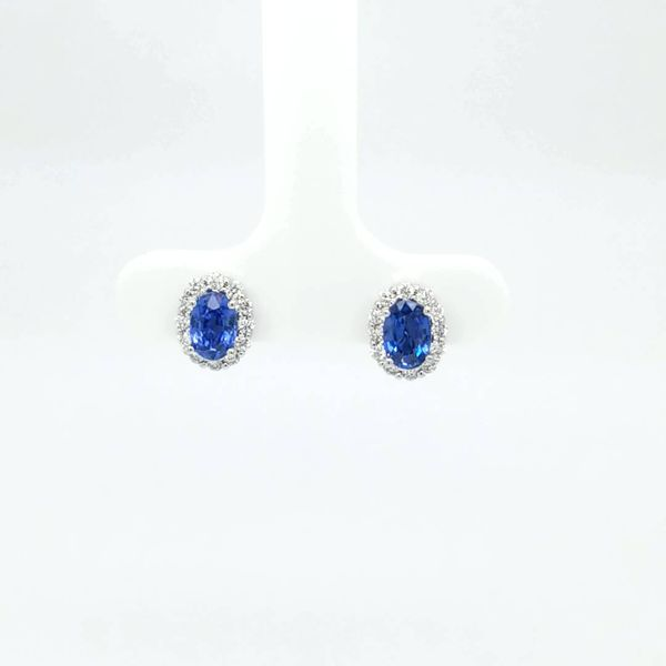 14kt WG Sapphire and Diamond Earrings Carroll's Jewelers Doylestown, PA