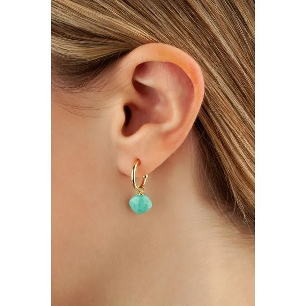 Dangle Turquoise earrings similar item image