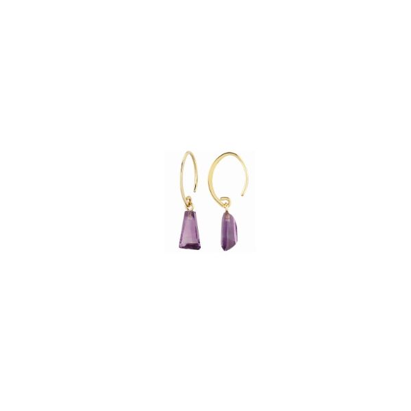14kt YG Amethyst Dangle Earrings Carroll's Jewelers Doylestown, PA